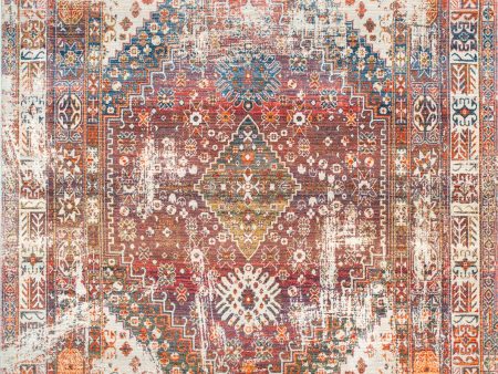 Archer Distressed Medallion Rug | Rust Online Hot Sale