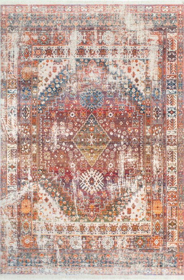 Archer Distressed Medallion Rug | Rust Online Hot Sale