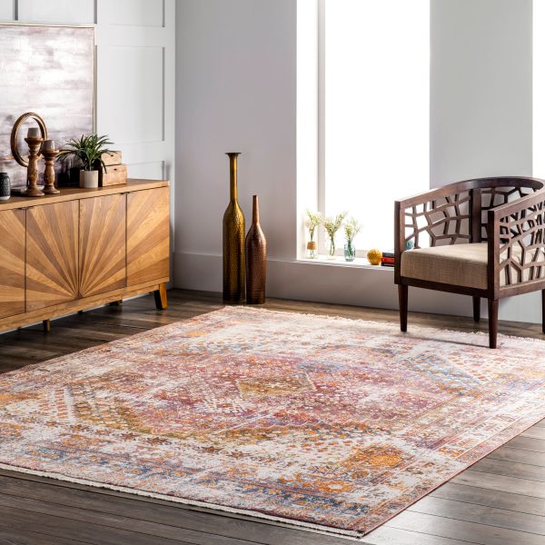 Archer Distressed Medallion Rug | Rust Online Hot Sale