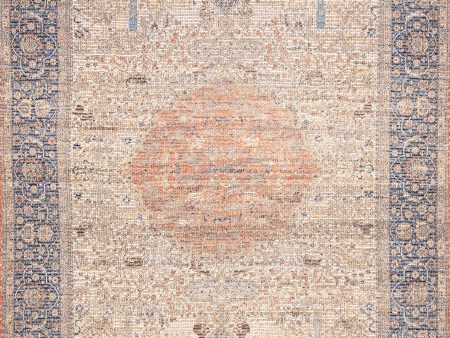 Clouded Medallion Rug | Multicolor Online Hot Sale