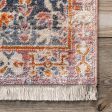 Archer Distressed Medallion Rug | Rust Online Hot Sale