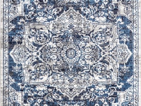 Whitny Shaded Medallion Rug | Blue Discount