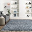 Shaded Shag With Tassels Rug | Blue Hot on Sale