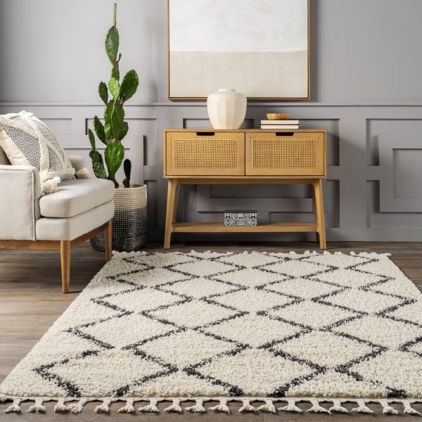 Simple Trellis With Braided Tassels Rug | Off White Fashion