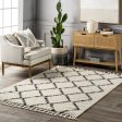 Simple Trellis With Braided Tassels Rug | Off White Fashion