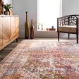 Archer Distressed Medallion Rug | Rust Online Hot Sale