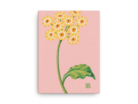 Primrose Wall Canvas Online Hot Sale