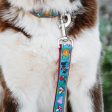 Mary s Icons Dog Collar For Sale